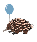 Echidna