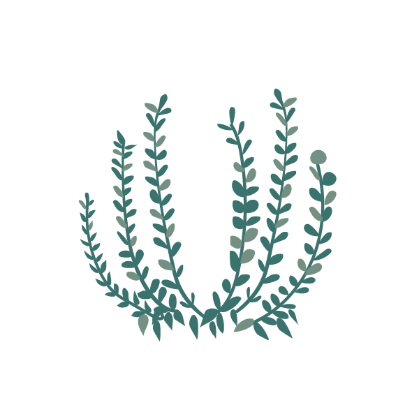 flowers4